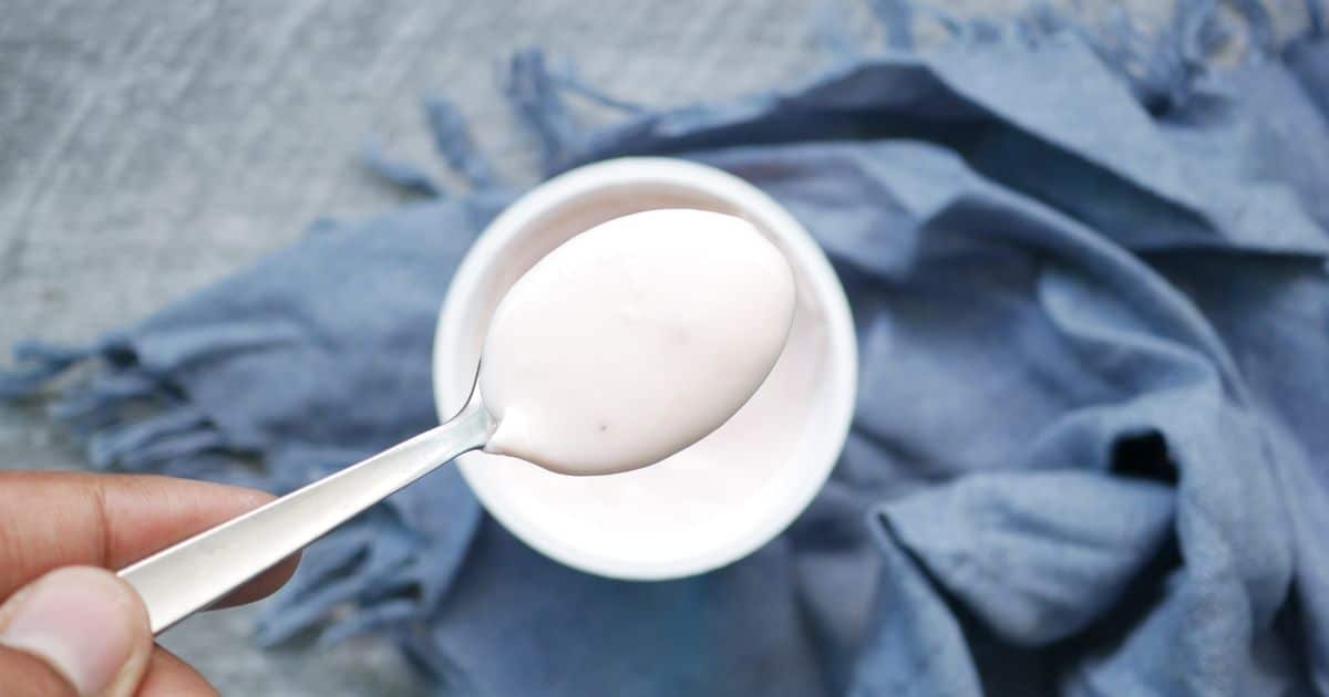 Spoonful of plain yogurt lifted from a small white bowl on a blue cloth